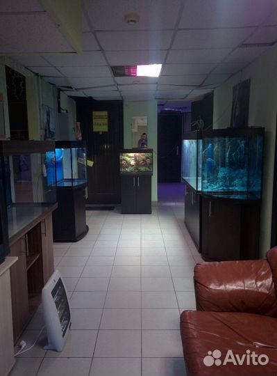 Аквариум 80л, свет биофильтр, фон, подставка