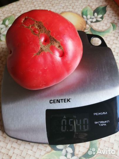 Семена помидор СССР