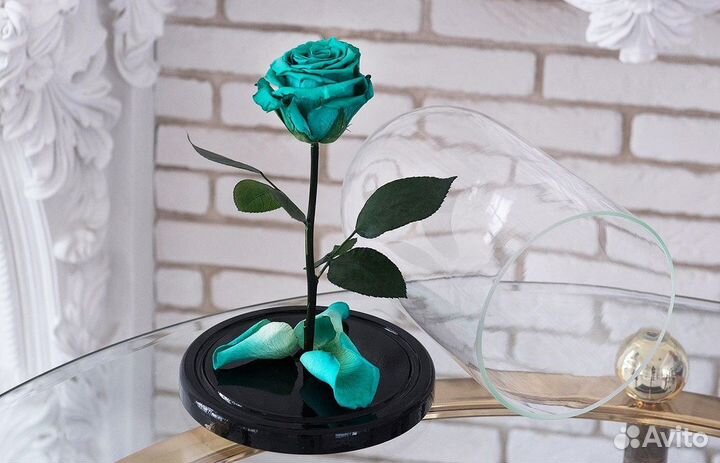 Роза в колбе. С гарантией