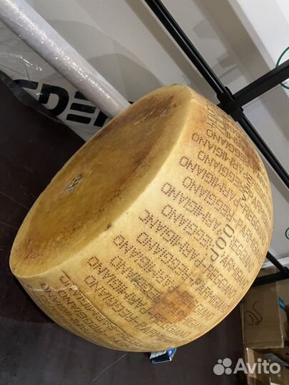 Сыр пармезан пармиджано