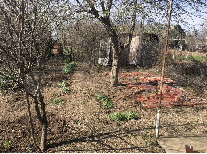 Дача 50 м² на участке 4 сот.