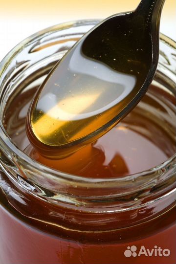 Липовый мед 2024