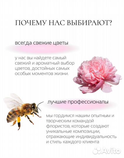 Создание сайтов taplink веб-дизайнер под ключ