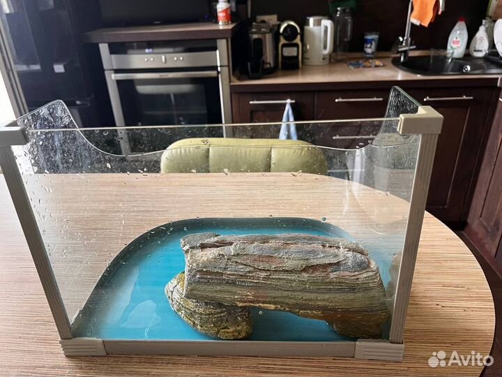 Акватеррариум для черепахи