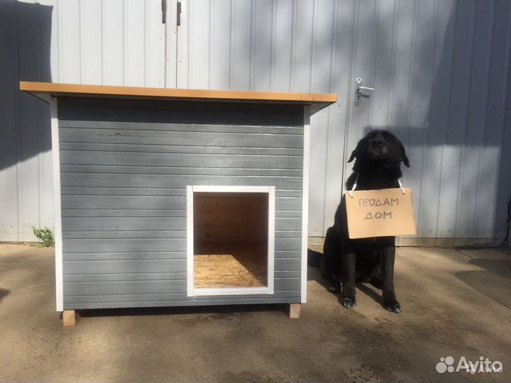 Будка для собаки утепленная вольер