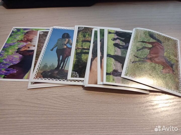 Журнал panini Лошади