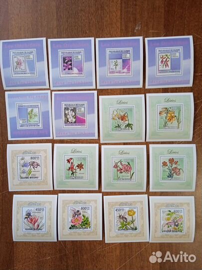 Чистые блоки фауна 2