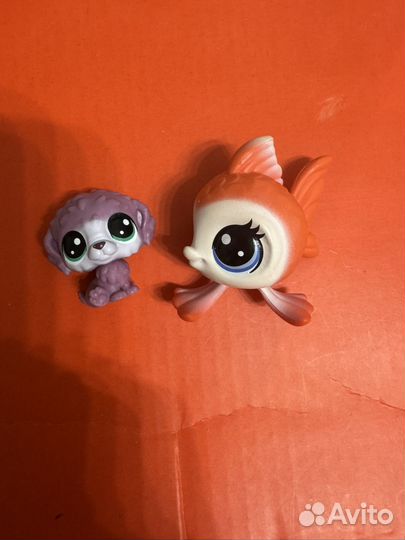 Littlest pet shop