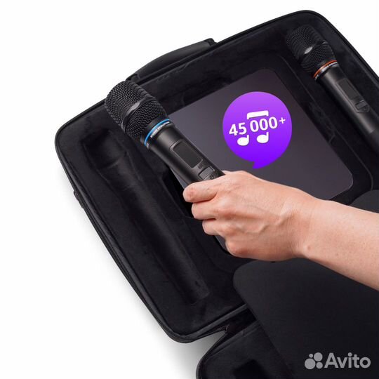 Караоке система EvoBox Plus Graphit (Новая)