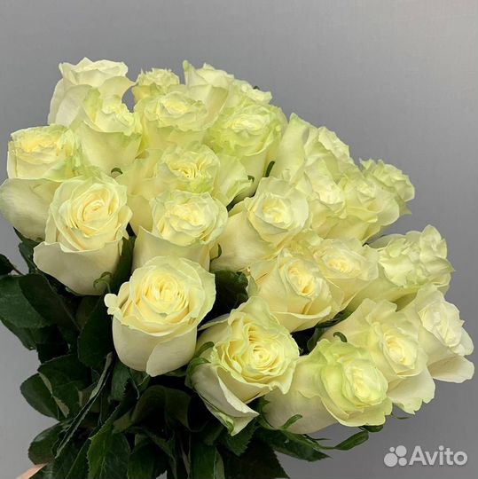 Розы. Букеты свежие
