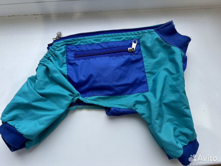 Одежда для собак мелких пород