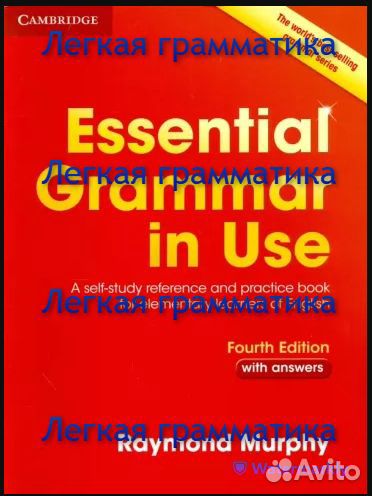 Репетитор по английскому языку для взрослых