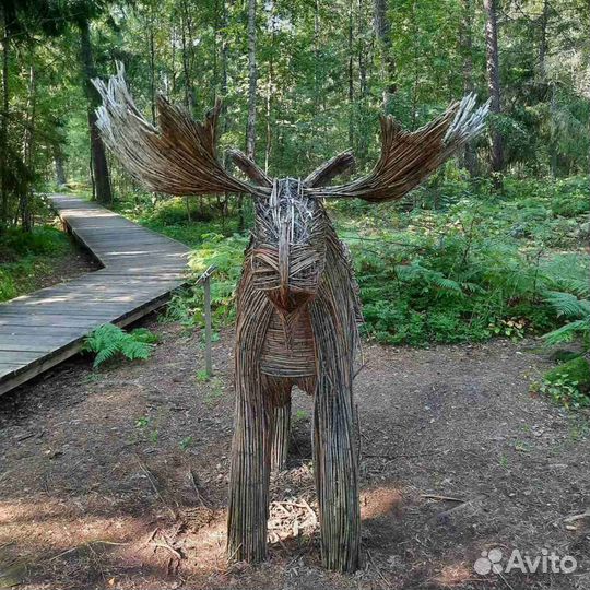 Куршская коса. Индивидуальные экскурсии