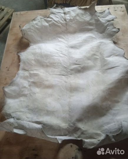 Кожа для бубна, барабана