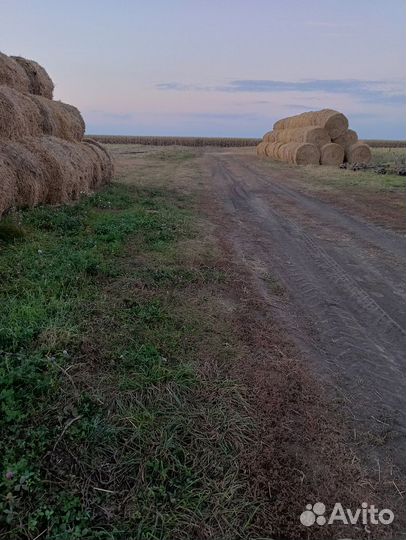 Солома в тюках