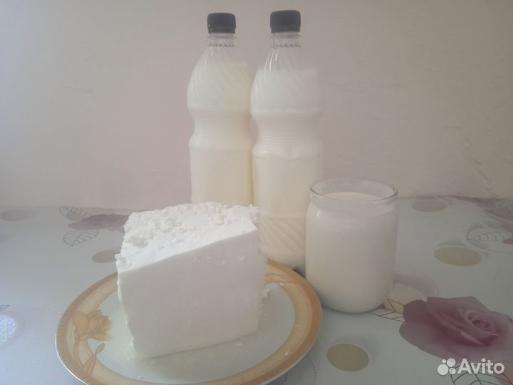 Домашнее молоко и творог, сметана и брынза