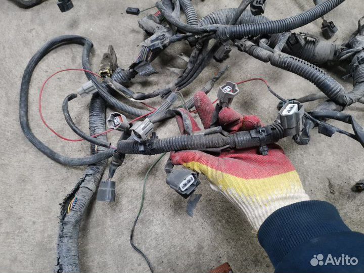Проводка двс Nissan Tiida хэтчбек HR16 2007