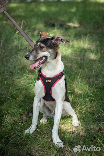 Майкл 8 месяцев мечтает о доме