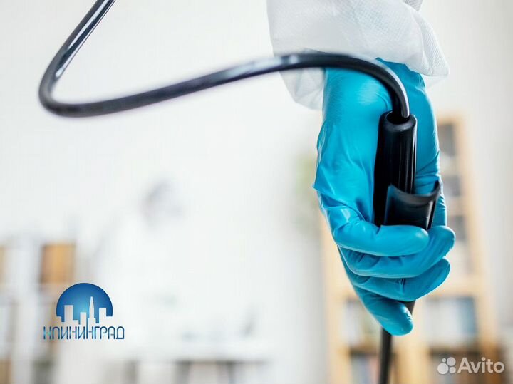 Клининград - готовый бизнес услуг клининга