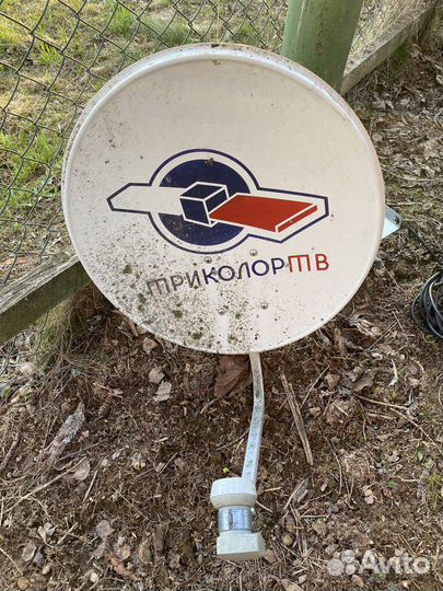 Тарелка триколор