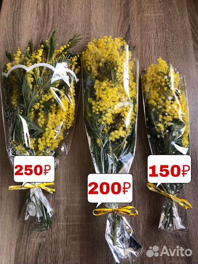 Мимоза букеты