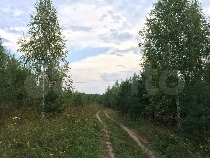 Участок 4,6 га (СНТ, ДНП)