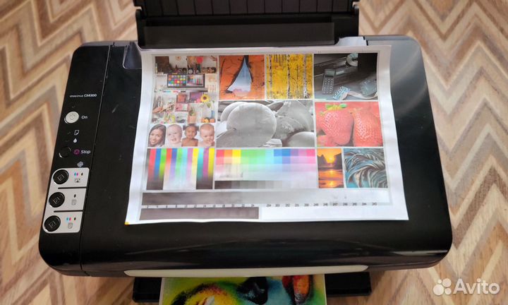 Принтер мфу Epson