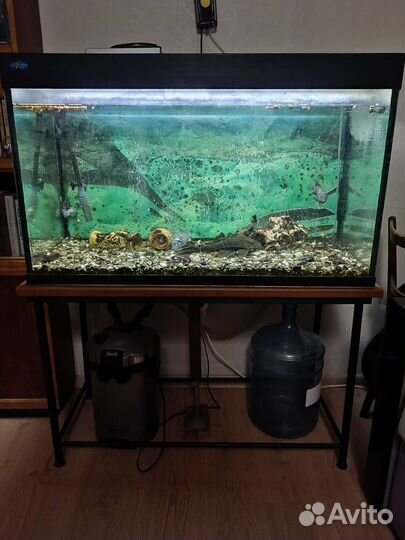 Аквариум с тумбой бу