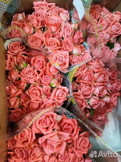 Цветы оптом Волгоград