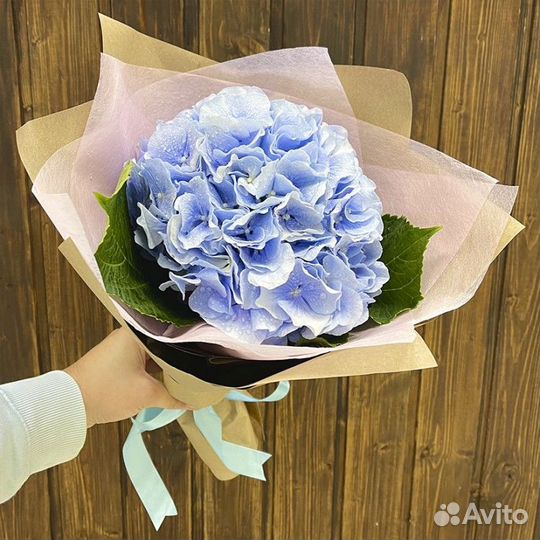 Цветы. Букет цветов