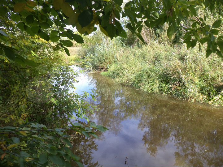 Участок 12 сот. (ИЖС)