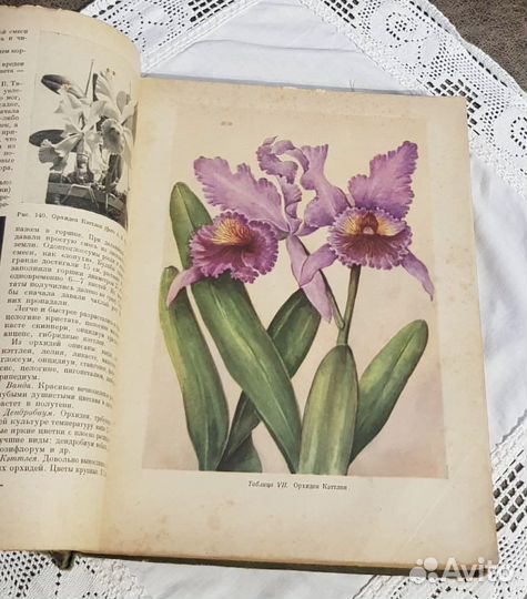 Комнатное садоводство, 1956