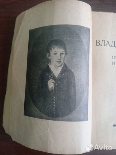 Антикварная книга автор Влад. Каренин 1922