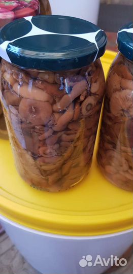 Грибы рыжики соленые