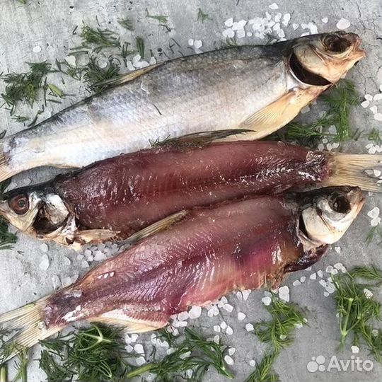 Рыба вяленая / Вобла, тарань, чехонь, судак и др