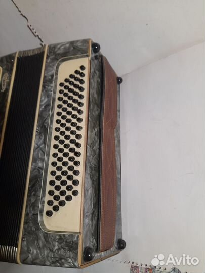 Аккордеон 
