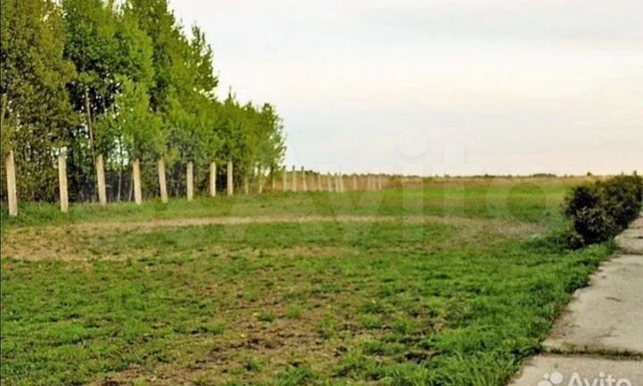 Участок 5 га (СНТ, ДНП)