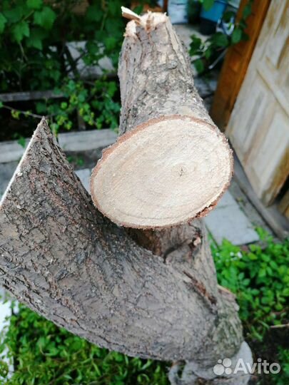 Спилы дерева ивы, для творчества, рукоделия