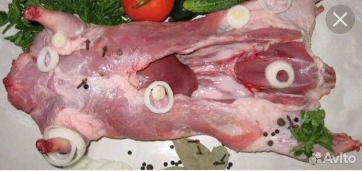 Мясо нутрии