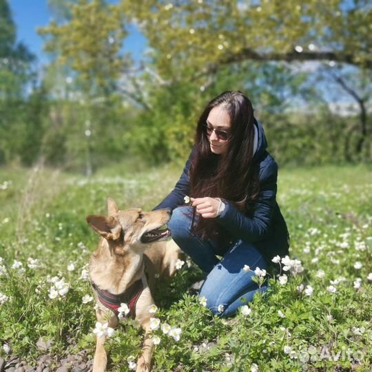 Кинолог зоопсихолог