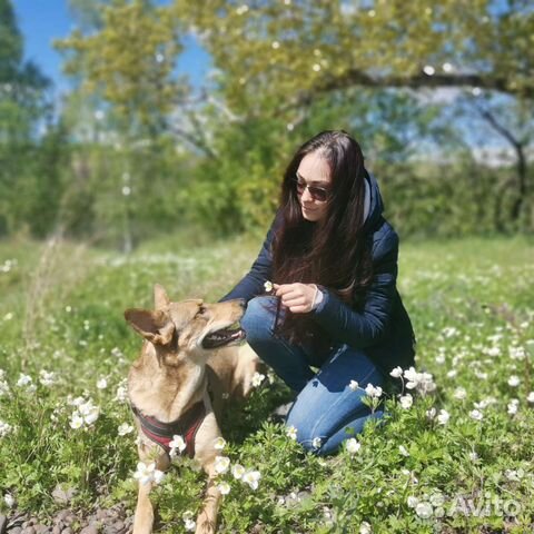 Кинолог зоопсихолог