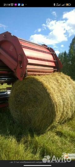 Продам сено в рулонах