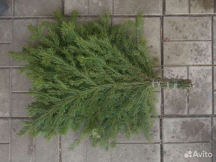 Пихтовые и можжевеловые веники для бани