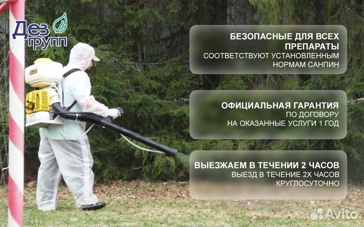 Дезинфекция