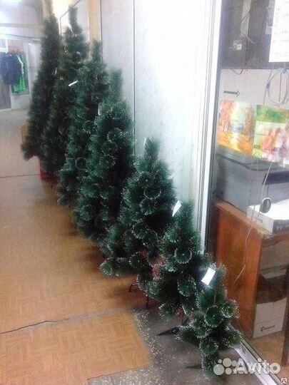 Елки сосны новогодние