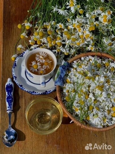 Тибетский сбор трав «Вечная молодость»