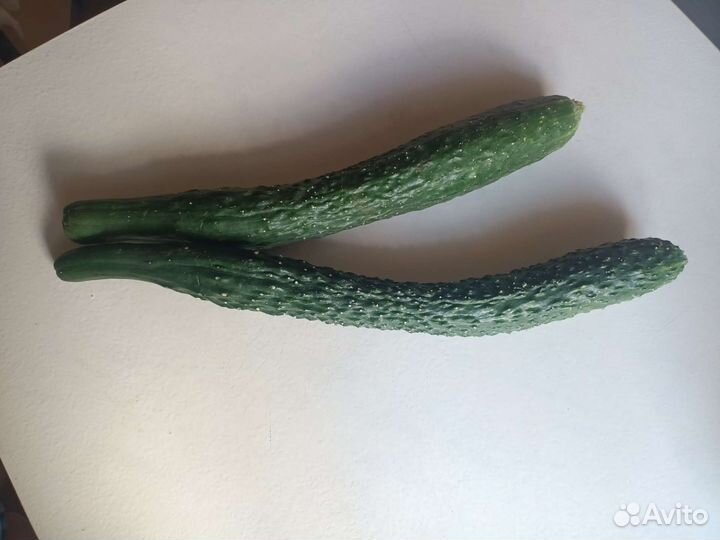 Китайские огурчики на салат