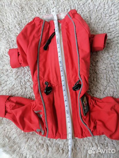 Одежда для мини собак