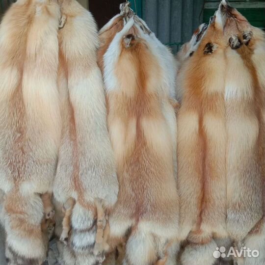 Шкурка животного