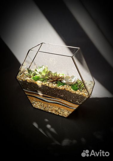 Флорариум Шестигранник